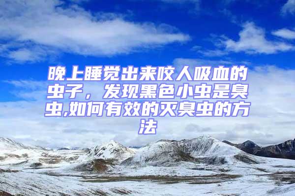 晚上睡覺出來咬人吸血的蟲子，發現黑色小蟲是臭蟲,如何有效的滅臭蟲的方法