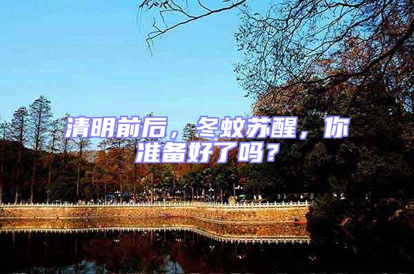 清明前后，冬蚊蘇醒，你準備好了嗎？