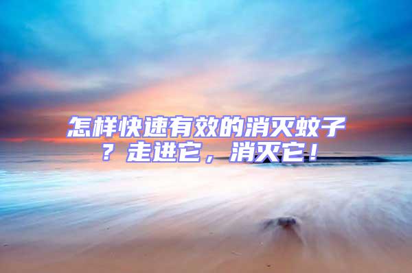 怎樣快速有效的消滅蚊子？走進它，消滅它！