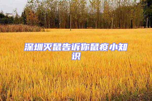 深圳滅鼠告訴你鼠疫小知識(shí)
