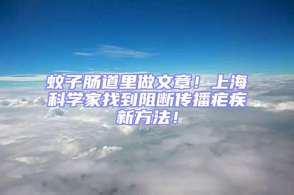 蚊子腸道里做文章！上海科學家找到阻斷傳播瘧疾新方法！