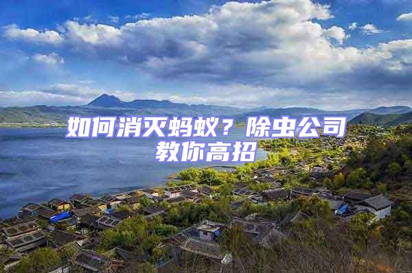 如何消滅螞蟻？除蟲公司教你高招