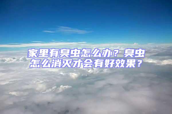 家里有臭蟲(chóng)怎么辦？臭蟲(chóng)怎么消滅才會(huì)有好效果？