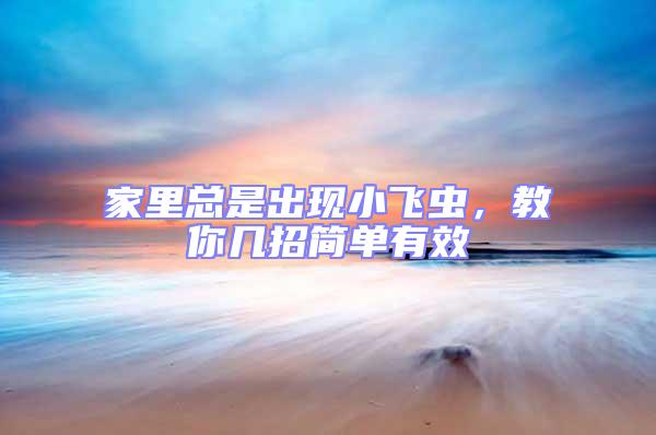 家里總是出現小飛蟲，教你幾招簡單有效