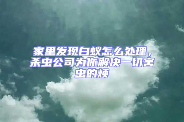 家里發現白蟻怎么處理，殺蟲公司為你解決一切害蟲的煩