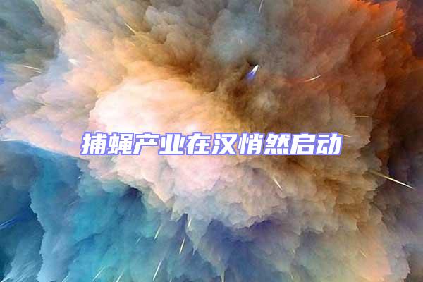 捕蠅產(chǎn)業(yè)在漢悄然啟動