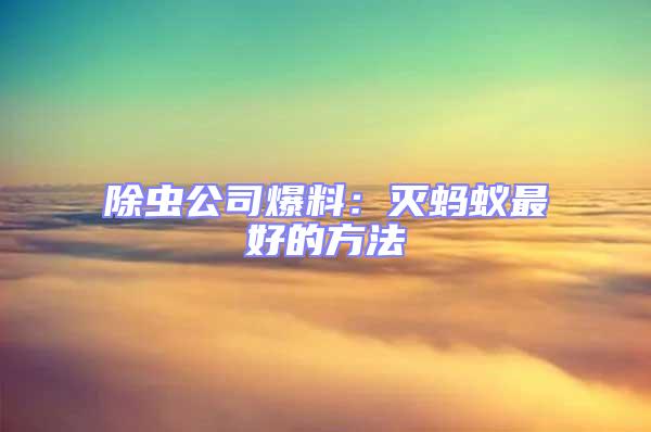 除蟲公司爆料：滅螞蟻?zhàn)詈玫姆椒?/></p>
									<p>　　家里發(fā)明了多少只螞蟻，此時(shí)你家的螞蟻數(shù)量可能超乎你的設(shè)想了，假如你僅僅是把看到的螞蟻滅殺，問題基本得不到解決，隨后的一些天你仍然會(huì)看到很多的螞蟻爬來爬去。那么問題就來了，滅螞蟻?zhàn)詈玫姆椒ㄊ鞘裁矗?/p>
<p style=