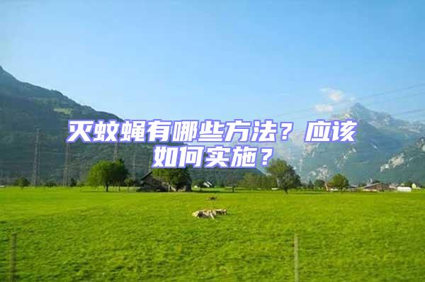 滅蚊蠅有哪些方法？應該如何實施？