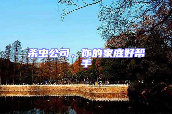 殺蟲(chóng)公司，你的家庭好幫手