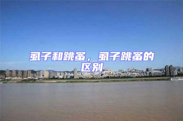 虱子和跳蚤，虱子跳蚤的區(qū)別