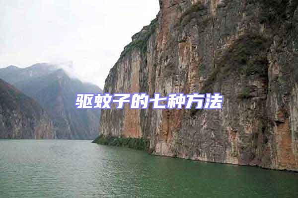驅(qū)蚊子的七種方法