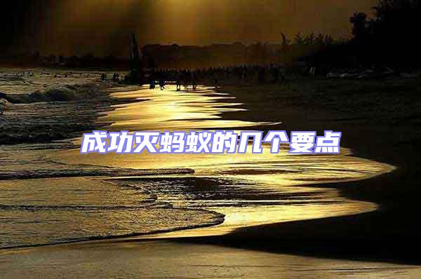 成功滅螞蟻的幾個要點