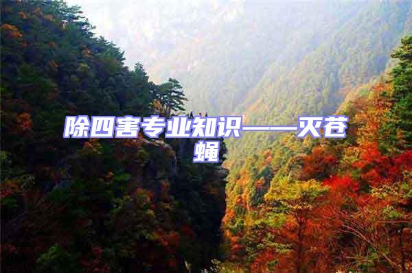 除四害專業(yè)知識——滅蒼蠅