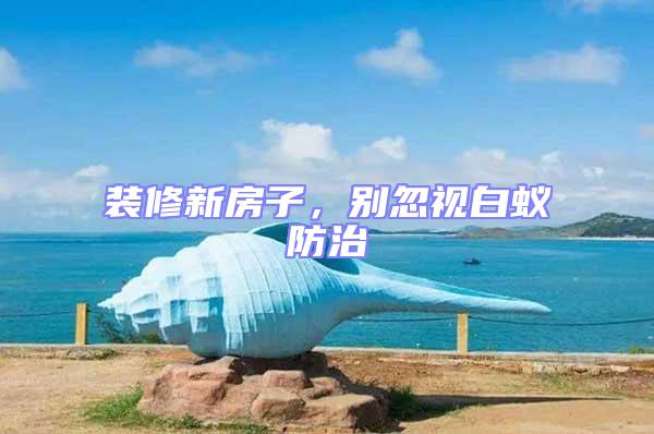 裝修新房子，別忽視白蟻防治
