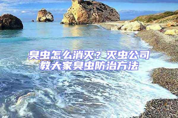 臭蟲怎么消滅？滅蟲公司教大家臭蟲防治方法
