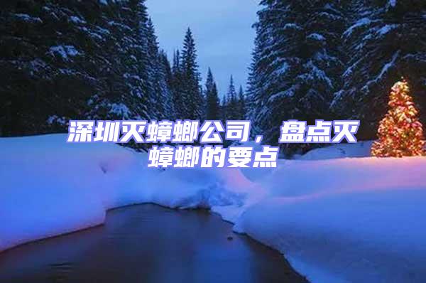 深圳滅蟑螂公司，盤點滅蟑螂的要點