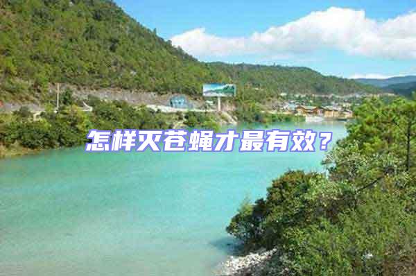 怎樣滅蒼蠅才最有效？