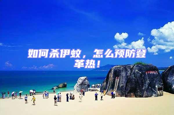 如何殺伊蚊，怎么預防登革熱！