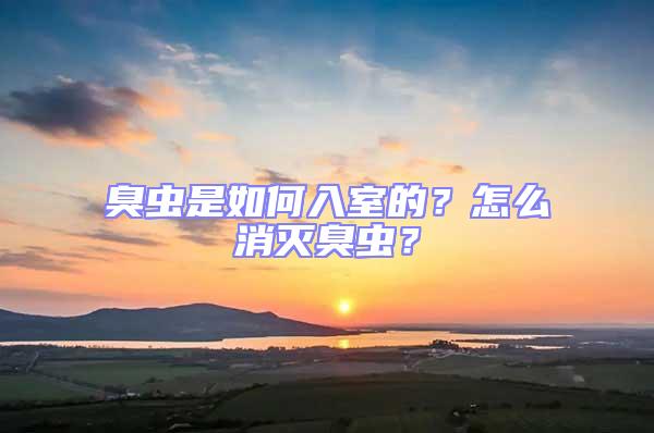 臭蟲是如何入室的？怎么消滅臭蟲？
