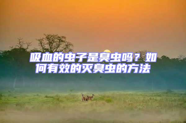 吸血的蟲子是臭蟲嗎？如何有效的滅臭蟲的方法