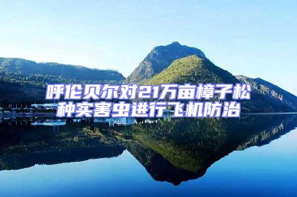 呼倫貝爾對21萬畝樟子松種實(shí)害蟲進(jìn)行飛機(jī)防治