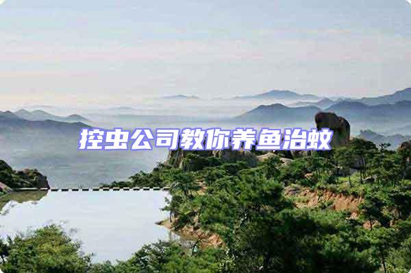 控蟲公司教你養(yǎng)魚治蚊