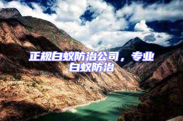 正規白蟻防治公司，專業白蟻防治
