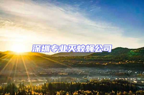 深圳專業(yè)滅蚊蠅公司