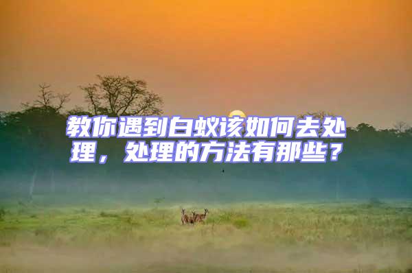 教你遇到白蟻該如何去處理，處理的方法有那些？