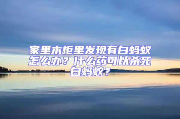 家里木柜里發現有白螞蟻怎么辦？什么藥可以殺死白螞蟻？