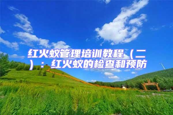 紅火蟻管理培訓教程（二）：紅火蟻的檢查和預防
