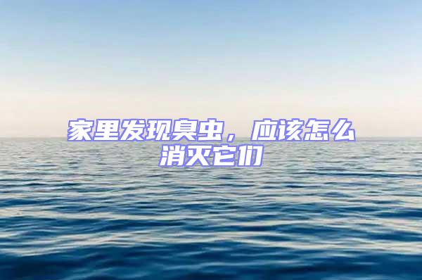 家里發現臭蟲，應該怎么消滅它們