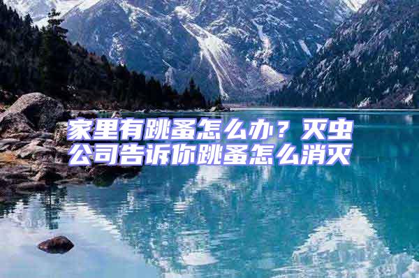 家里有跳蚤怎么辦？滅蟲公司告訴你跳蚤怎么消滅