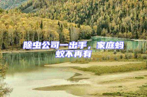 除蟲公司一出手，家庭螞蟻不再有