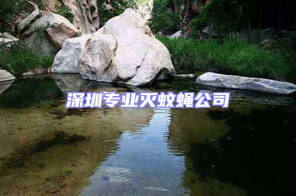 深圳專(zhuān)業(yè)滅蚊蠅公司