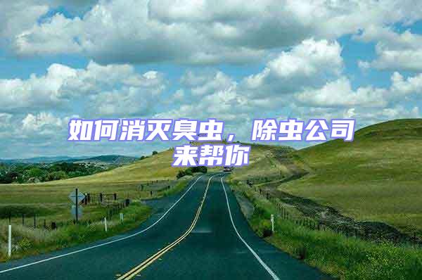 如何消滅臭蟲，除蟲公司來幫你