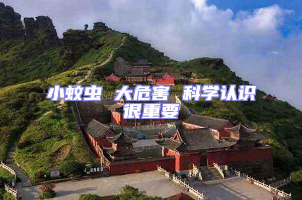 小蚊蟲(chóng) 大危害 科學(xué)認(rèn)識(shí)很重要