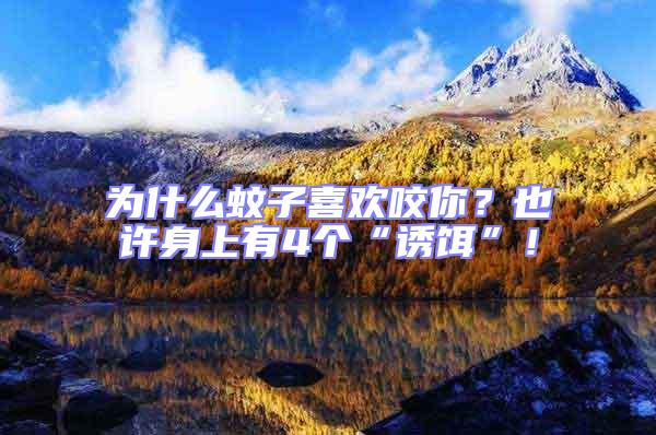 為什么蚊子喜歡咬你？也許身上有4個(gè)“誘餌”！