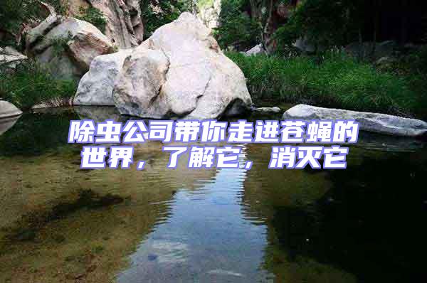 除蟲公司帶你走進(jìn)蒼蠅的世界，了解它，消滅它