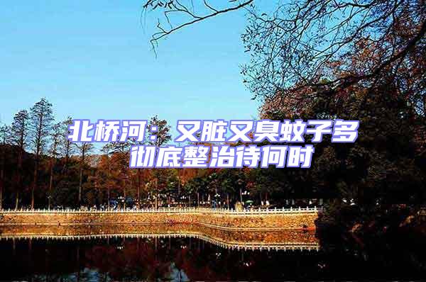 北橋河：又臟又臭蚊子多 徹底整治待何時(shí)
