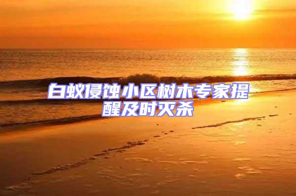 白蟻侵蝕小區(qū)樹木專家提醒及時滅殺