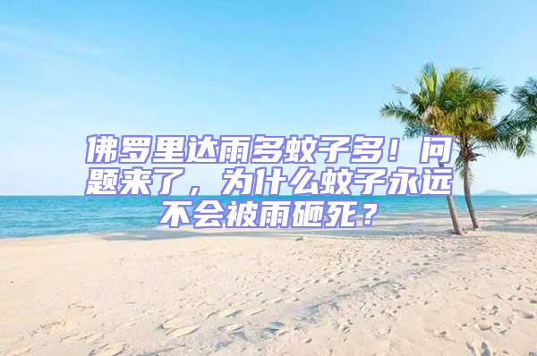 佛羅里達雨多蚊子多！問題來了，為什么蚊子永遠不會被雨砸死？