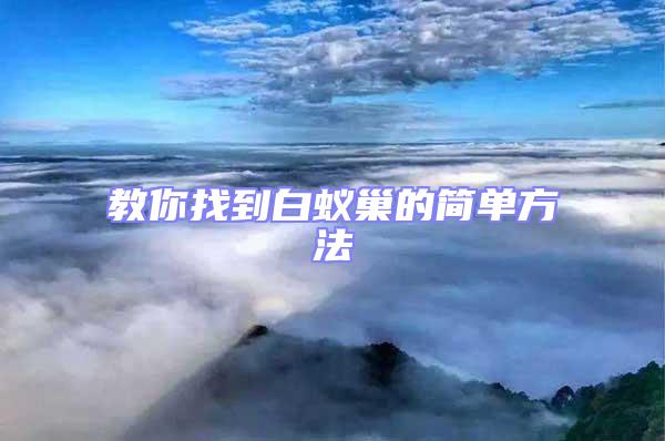 教你找到白蟻巢的簡單方法