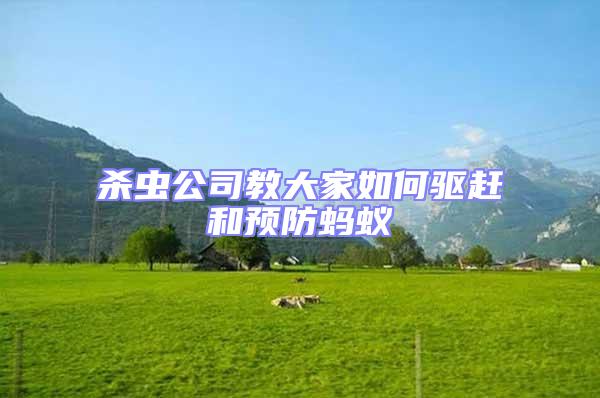 殺蟲(chóng)公司教大家如何驅(qū)趕和預(yù)防螞蟻