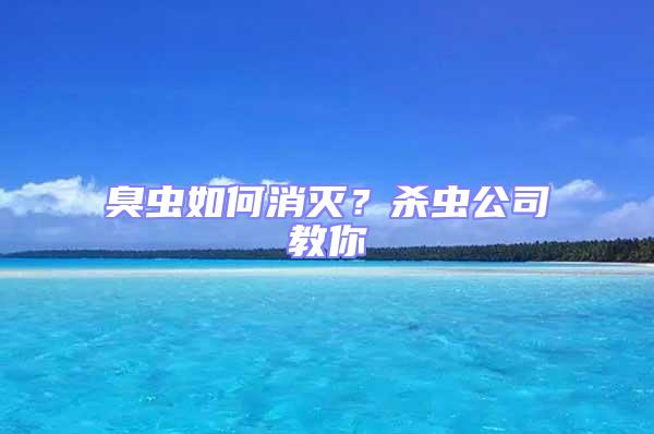 臭蟲如何消滅？殺蟲公司教你