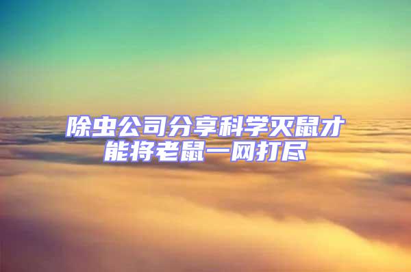 除蟲公司分享科學(xué)滅鼠才能將老鼠一網(wǎng)打盡