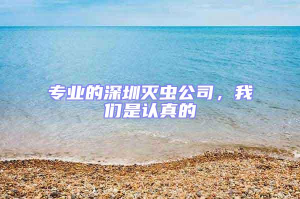 專業(yè)的深圳滅蟲公司，我們是認(rèn)真的