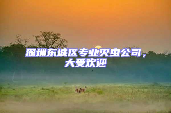 深圳東城區(qū)專業(yè)滅蟲(chóng)公司，大受歡迎