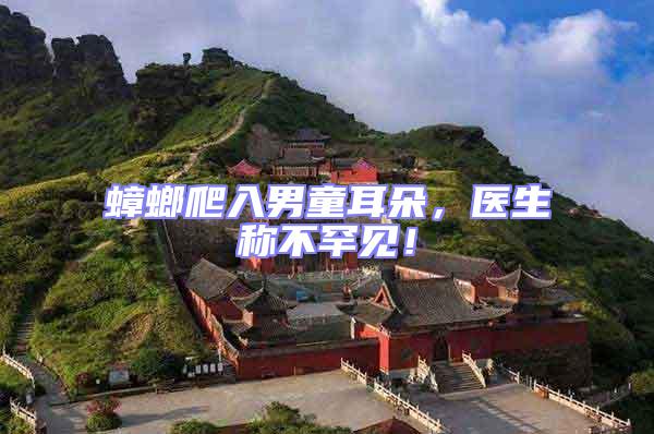 蟑螂爬入男童耳朵，醫(yī)生稱不罕見(jiàn)！