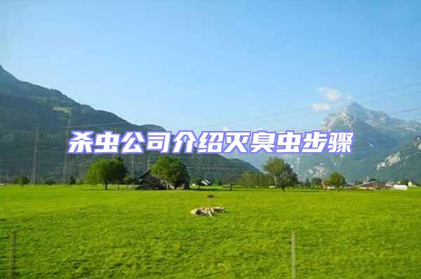 殺蟲(chóng)公司介紹滅臭蟲(chóng)步驟
